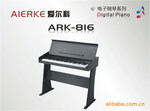 ���科ARK-816��琴